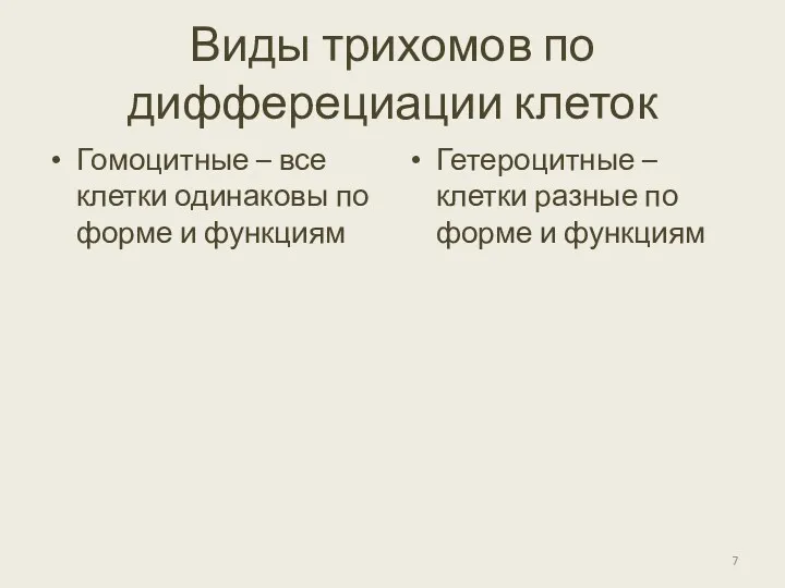 Виды трихомов по дифферециации клеток Гомоцитные – все клетки одинаковы