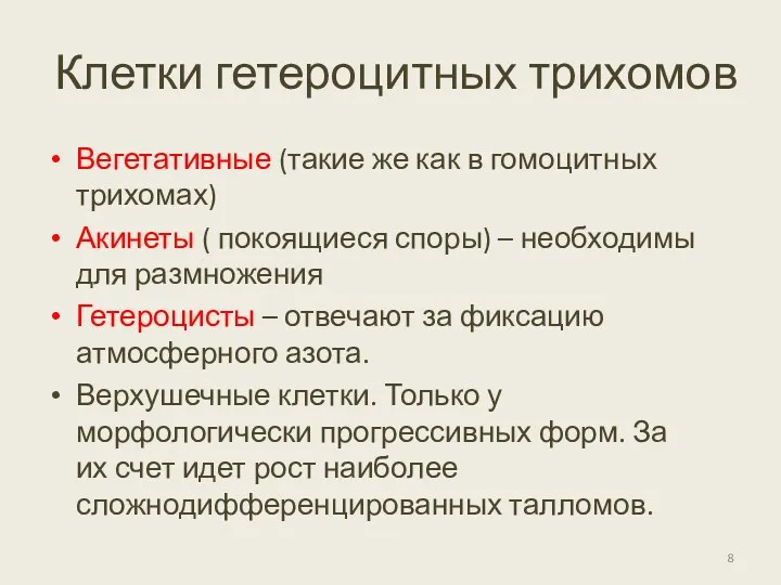 Клетки гетероцитных трихомов Вегетативные (такие же как в гомоцитных трихомах)