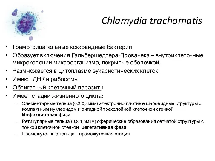 Chlamydia trachomatis Грамотрицательные кокковидные бактерии Образует включения Гальбершедтера-Провачека – внутриклеточные микроколонии микроорганизма, покрытые