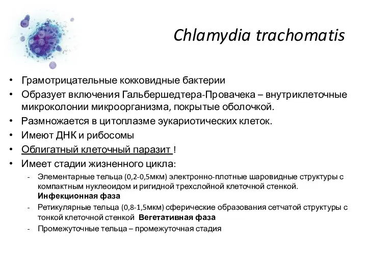 Chlamydia trachomatis Грамотрицательные кокковидные бактерии Образует включения Гальбершедтера-Провачека – внутриклеточные