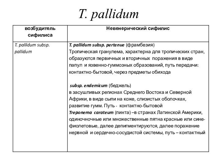 T. pallidum