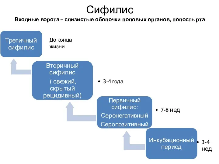 Сифилис Входные ворота – слизистые оболочки половых органов, полость рта До конца жизни