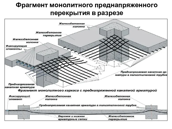 Фрагмент монолитного преднапряженного перекрытия в разрезе