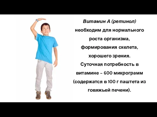 Витамин А (ретинол) необходим для нормального роста организма, формирования скелета,