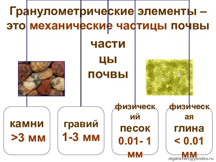 Гранулометрические элементы – это механические частицы почвы olgatishler@yandex.ru