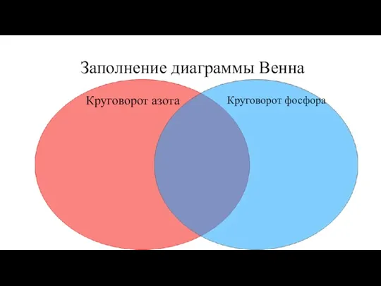 Заполнение диаграммы Венна Круговорот азота Круговорот фосфора