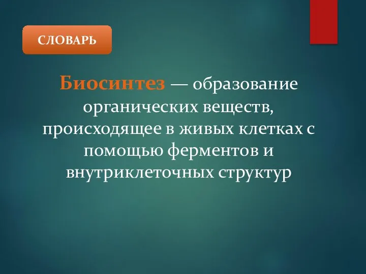 Биосинтез — образование органических веществ, происходящее в живых клетках с помощью ферментов и внутриклеточных структур СЛОВАРЬ