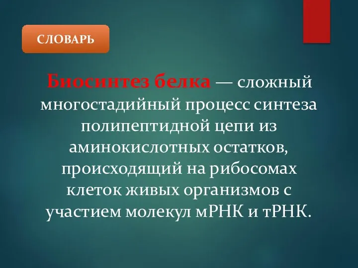 Биосинтез белка — сложный многостадийный процесс синтеза полипептидной цепи из аминокислотных остатков, происходящий