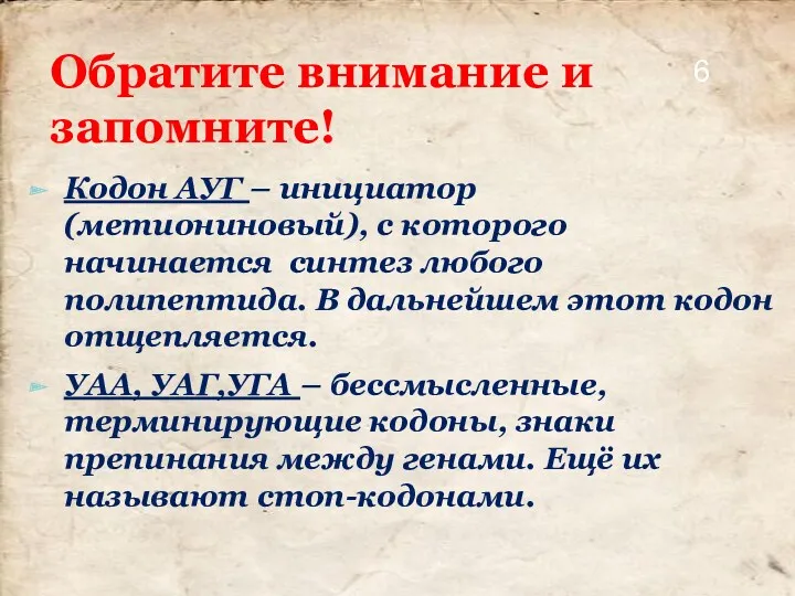 Обратите внимание и запомните! Кодон АУГ – инициатор (метиониновый), с которого начинается синтез