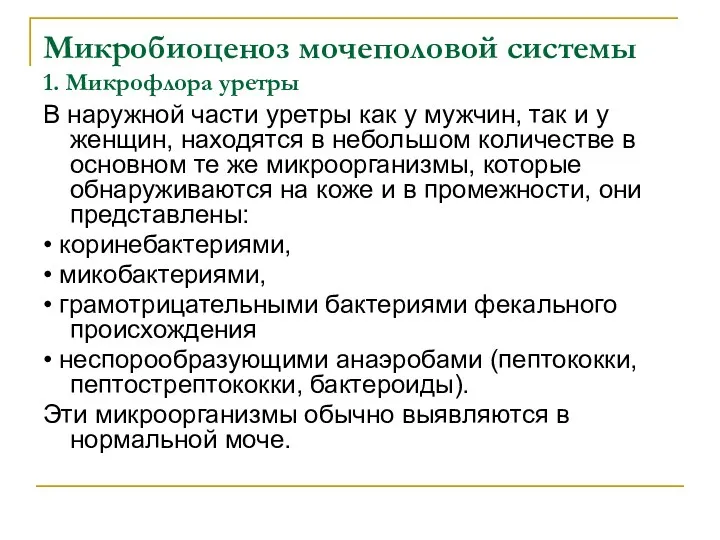 Микробиоценоз мочеполовой системы 1. Микрофлора уретры В наружной части уретры как у мужчин,