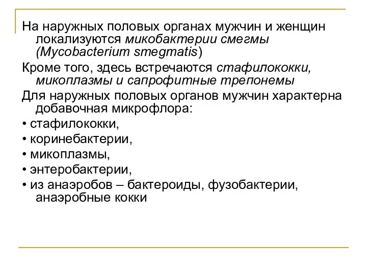 На наружных половых органах мужчин и женщин локализуются микобактерии смегмы