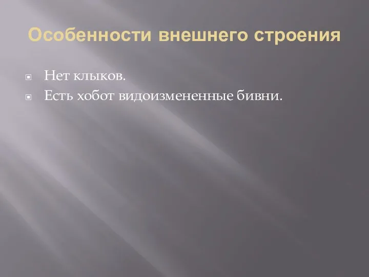 Особенности внешнего строения Нет клыков. Есть хобот видоизмененные бивни.