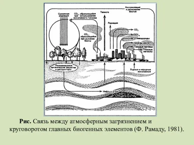 Рис. Связь между атмосферным загрязнением и круговоротом главных биогенных элементов (Ф. Рамаду, 1981).