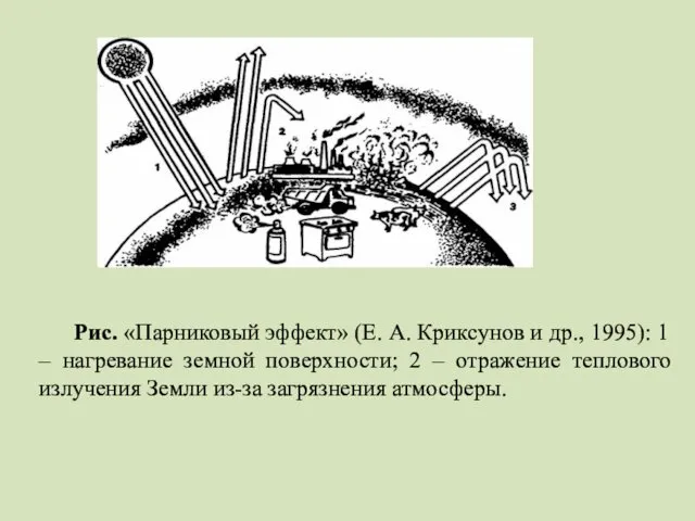 Рис. «Парниковый эффект» (Е. А. Криксунов и др., 1995): 1