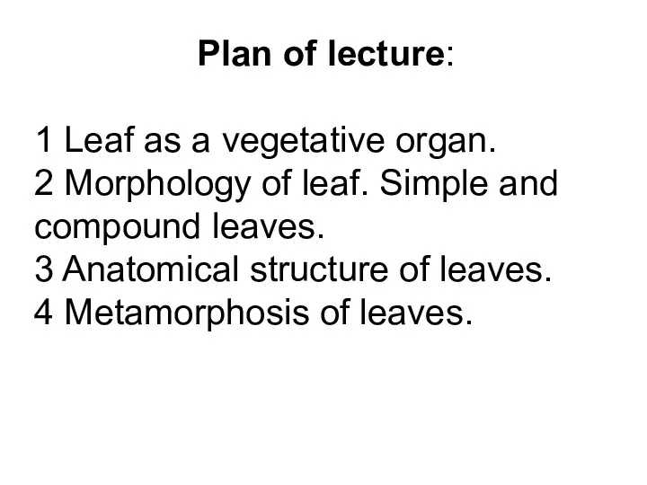 Plan of lecture: 1 Leaf as a vegetative organ. 2 Morphology of leaf.