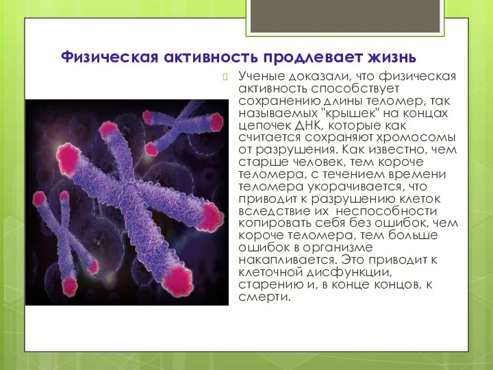 Физическая активность продлевает жизнь Ученые доказали, что физическая активность способствует