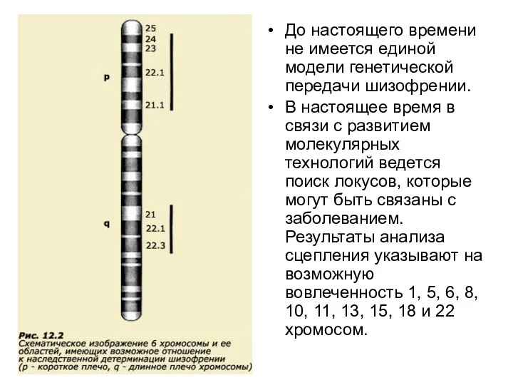 До настоящего времени не имеется единой модели генетической передачи шизофрении. В настоящее время