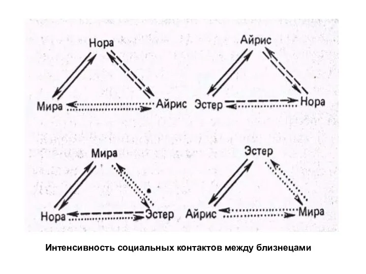 Интенсивность социальных контактов между близнецами