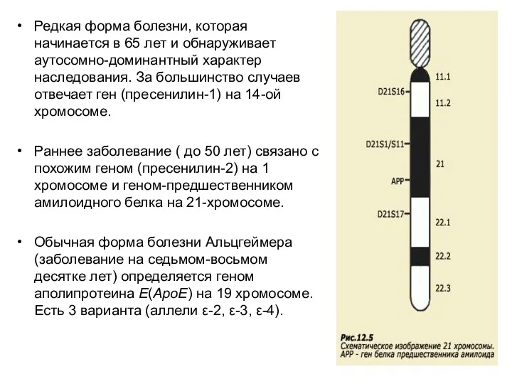 Редкая форма болезни, которая начинается в 65 лет и обнаруживает аутосомно-доминантный характер наследования.