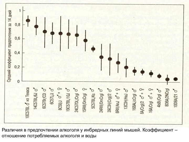 Различия в предпочтении алкоголя у инбредных линий мышей. Коэффициент – отношение потребляемых алкоголя и воды