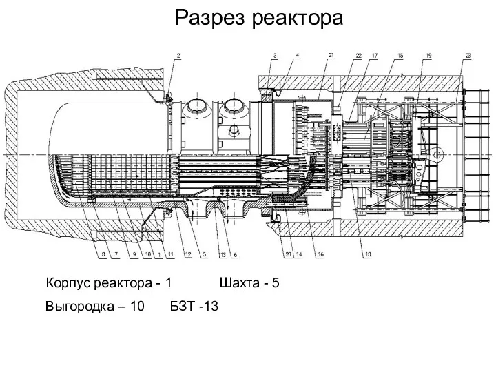Разрез реактора Корпус реактора - 1 Шахта - 5 Выгородка – 10 БЗТ -13
