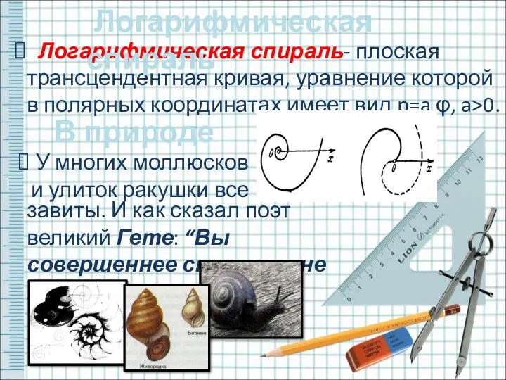 Логарифмическая спираль- плоская трансцендентная кривая, уравнение которой в полярных координатах