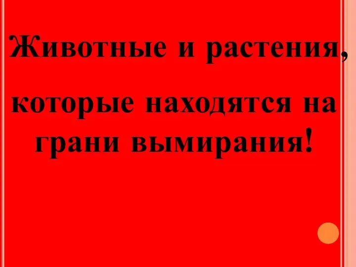 Животные и растения, которые находятся на грани вымирания!