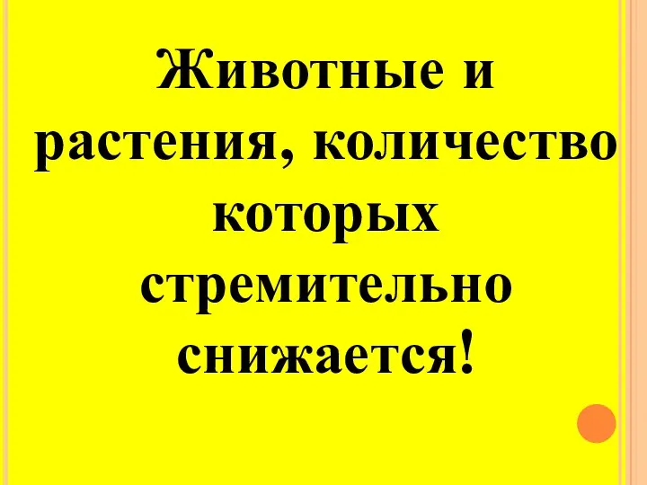 Животные и растения, количество которых стремительно снижается!