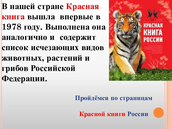 В нашей стране Красная книга вышла впервые в 1978 году.