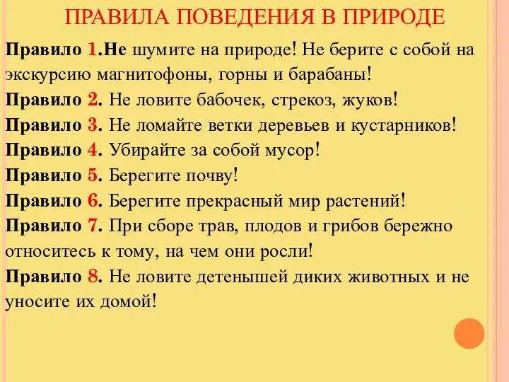 ПРАВИЛА ПОВЕДЕНИЯ В ПРИРОДЕ Правило 1.Не шумите на природе! Не