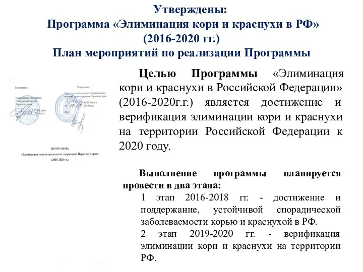Утверждены: Программа «Элиминация кори и краснухи в РФ» (2016-2020 гг.) План мероприятий по