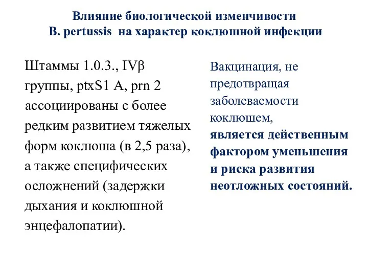 Влияние биологической изменчивости B. pertussis на характер коклюшной инфекции Штаммы