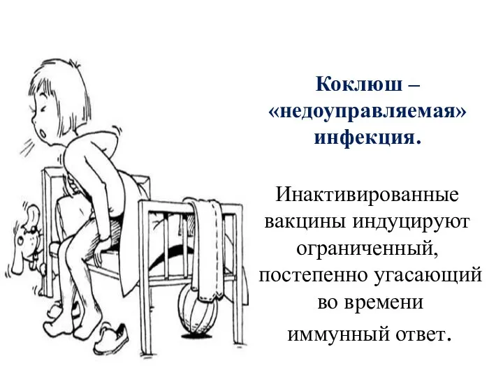 Коклюш – «недоуправляемая» инфекция. Инактивированные вакцины индуцируют ограниченный, постепенно угасающий во времени иммунный ответ.