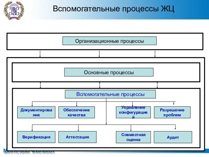 Вспомогательные процессы ЖЦ