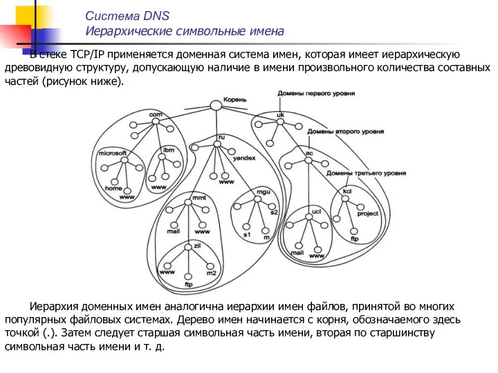 В стеке TCP/IP применяется доменная система имен, которая имеет иерархическую