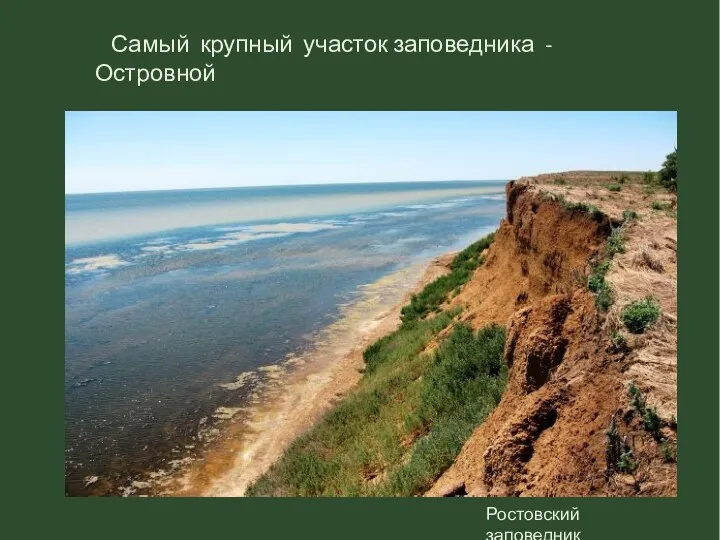 Самый крупный участок заповедника - Островной Ростовский заповедник