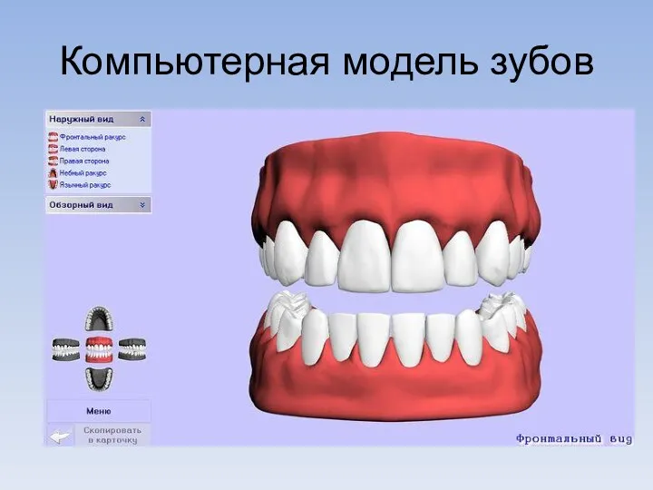 Компьютерная модель зубов