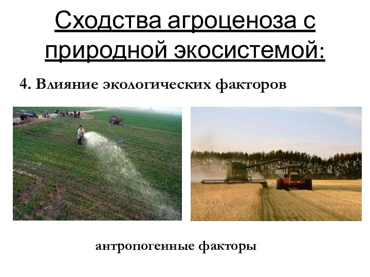 Сходства агроценоза с природной экосистемой: 4. Влияние экологических факторов антропогенные факторы