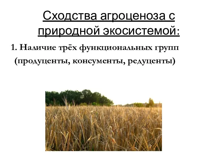 Сходства агроценоза с природной экосистемой: 1. Наличие трёх функциональных групп (продуценты, консументы, редуценты)