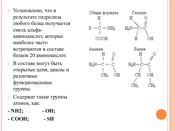 Установлено, что в результате гидролиза любого белка получается смесь альфа-аминокислот,