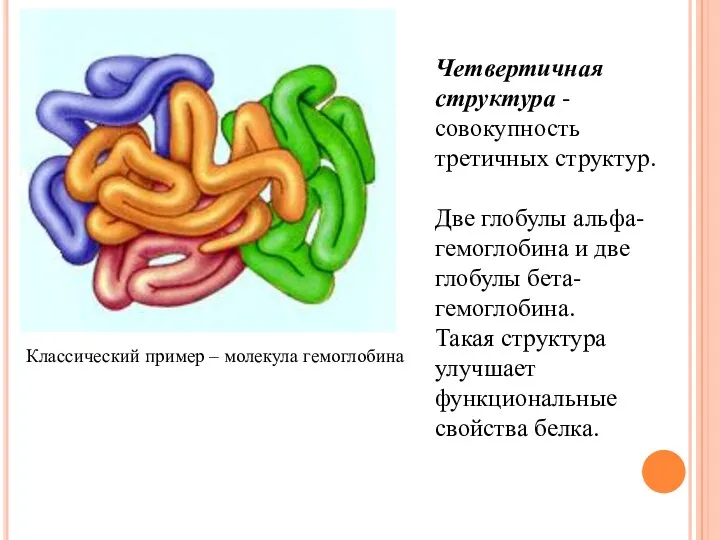 Четвертичная структура - совокупность третичных структур. Две глобулы альфа-гемоглобина и