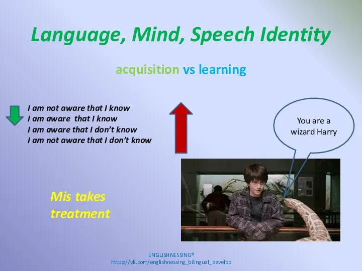 Language, Mind, Speech Identity ENGLISHNESSING® https://vk.com/englishnessing_bilingual_develop acquisition vs learning I