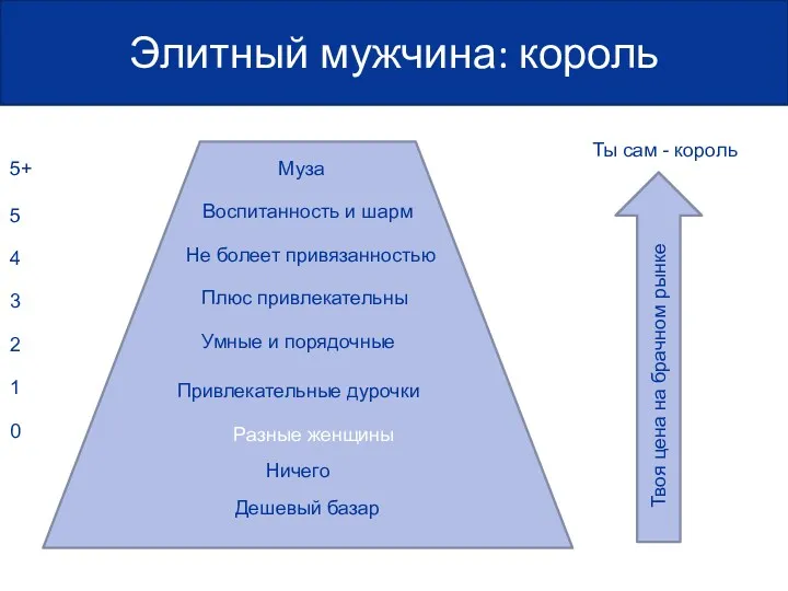 Элитный мужчина: король Ничего Дешевый базар Привлекательные дурочки Умные и