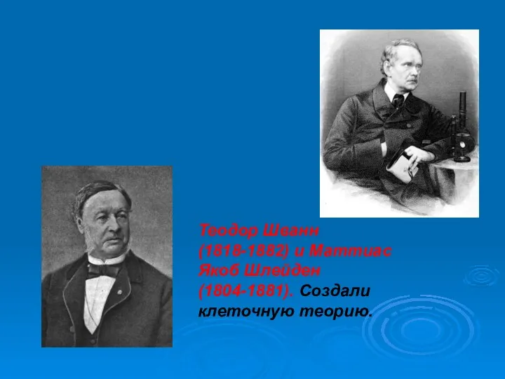 Теодор Шванн (1818-1882) и Маттиас Якоб Шлейден (1804-1881). Создали клеточную теорию.
