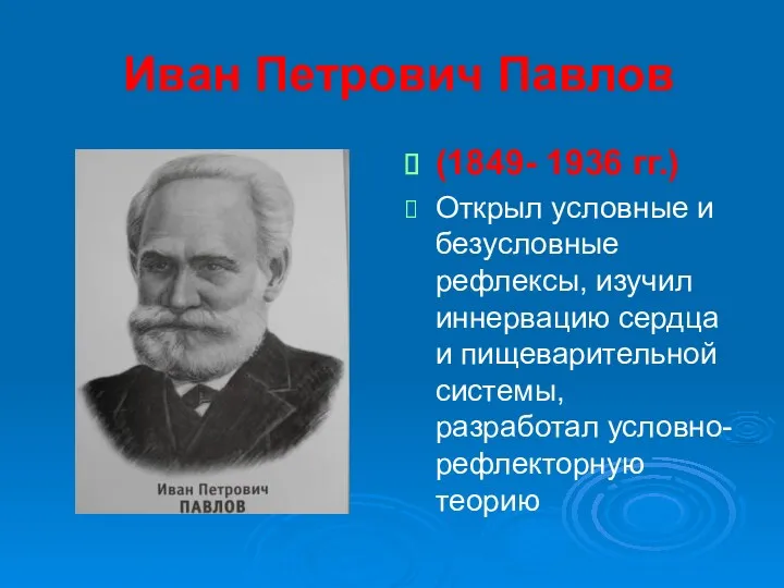 Иван Петрович Павлов (1849- 1936 гг.) Открыл условные и безусловные рефлексы, изучил иннервацию
