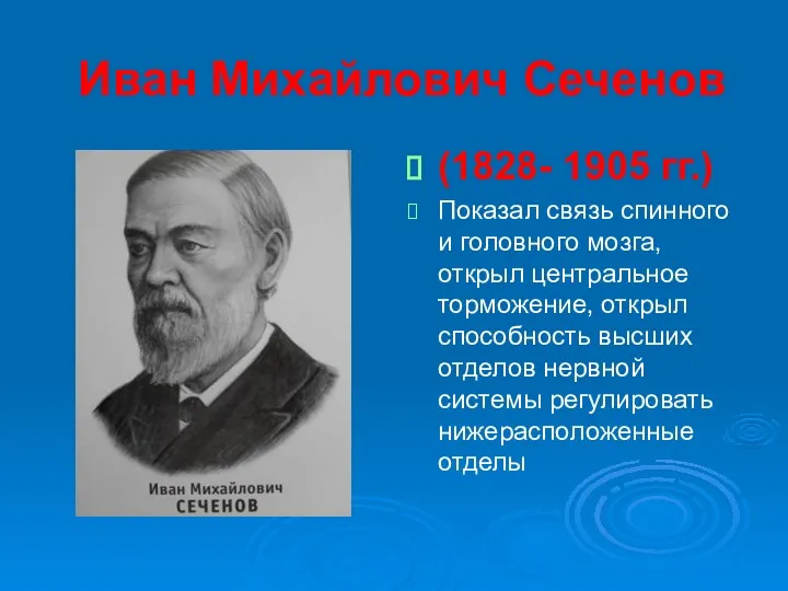 Иван Михайлович Сеченов (1828- 1905 гг.) Показал связь спинного и головного мозга, открыл