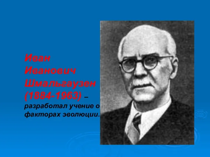 Иван Иванович Шмальгаузен (1884-1963) – разработал учение о факторах эволюции.