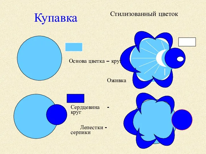 Купавка Стилизованный цветок Основа цветка – круг Оживка Сердцевина - круг Лепестки - серпики