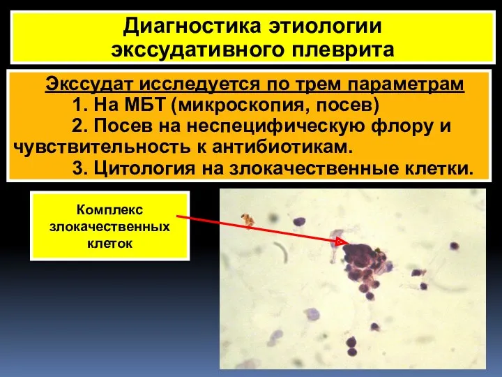 Экссудат исследуется по трем параметрам 1. На МБТ (микроскопия, посев)