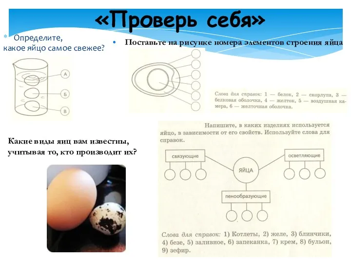 Определите, какое яйцо самое свежее? Поставьте на рисунке номера элементов